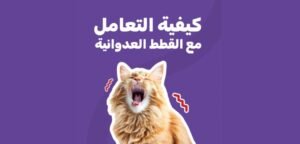 كود خصم متجر كاتي -محل القطط