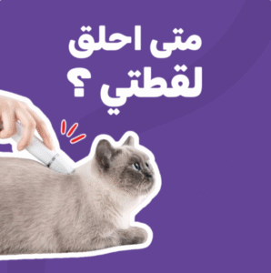 كاتى ستور - كود خصم متجر كاتي
