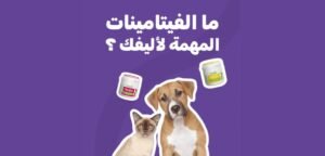 كود خصم متجر كاتي